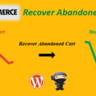 WooCommerce Recover Abandoned Cart CodeCanyon