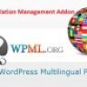 WPML Translation Management Addon v2.9.6