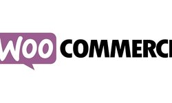 WooCommerce API Manager