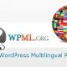 WPML Multilingual CMS WordPress Plugin