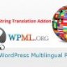 WPML String Translation Addon