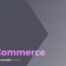 XforWooCommerce